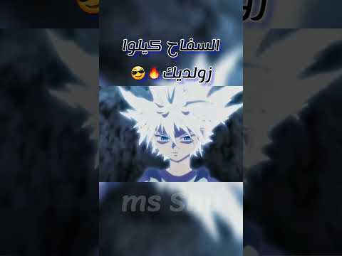 السفاح كيلوا زولديك 