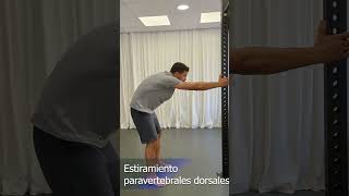 Estiramiento Paravertebrales Dorsales