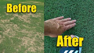Thick Green Bermuda Lawn  Brown Patches Fixed