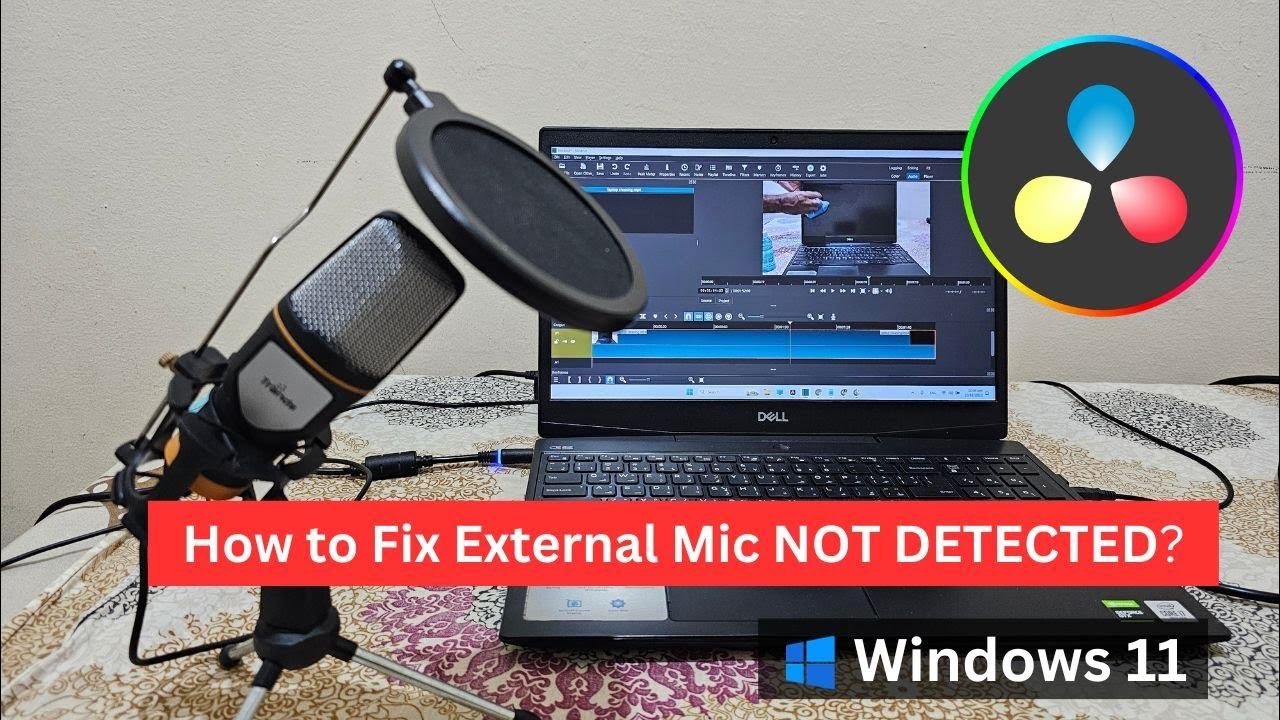 How to fix external microphone not detecting in Windows 11 applications