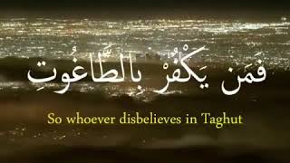 لا إكراه في الدين .. قد تبين الرشد من الغي /قرآن الكريم