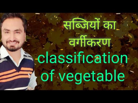 वीडियो: बच्चे के लिए सब्जी वर्गीकरण