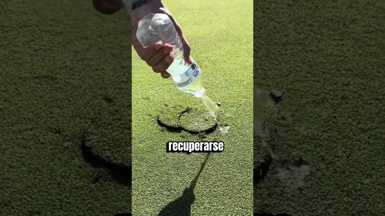 En el golf, la arena es esencial