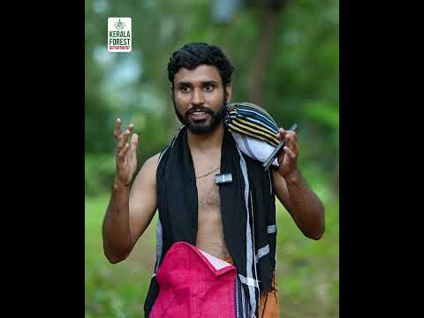 ഒപ്പമുണ്ട് എത്തുവോളം ...!#Sabarimala #sabarimalatemple #keralaforests