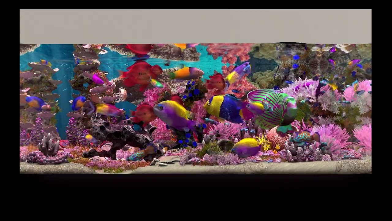 AQUARIUM / FISHTANK IDEAS - ultimate virtual fishtank