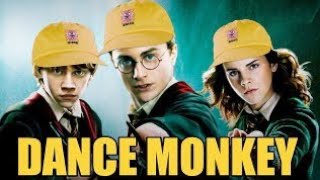 Dance Monkey is Hot in Hogwarts right now