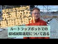 ぶどうの育て方　ルートラップポットでの根域制限栽培　他にもどんな作物が作れる？