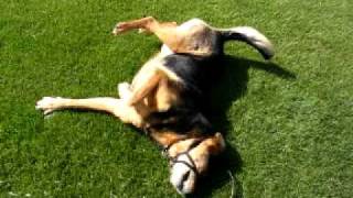 Backstroke, Again
