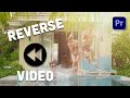 Reverse Video in Premiere Pro - How to do it