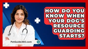 How Do You Know When Your Dog