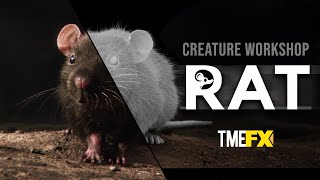 Creature Workshop RAT | VFXbreakdown | TMEFX #rat #vfx #cgi #tmefx #breakdown #animal #like #nature