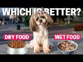 Dry food vs wet food which is better for shih tzu