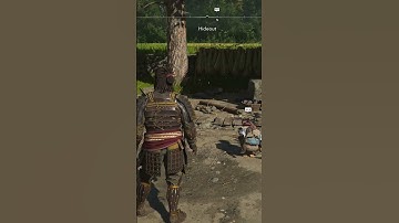 Life in the Hideout Assassin