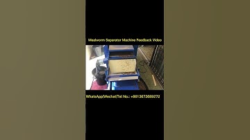 Excellent Mealworm Separator Machine Feedback Video from South Africa - Mealworm Sorting Machine