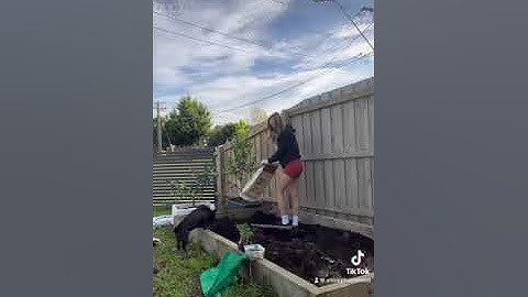 Tâm sự cuộc sống ở Úc - khó khăn khi mới quá Úc