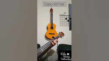 بلا ما نحس عبير نعمة كوردات جيتار 