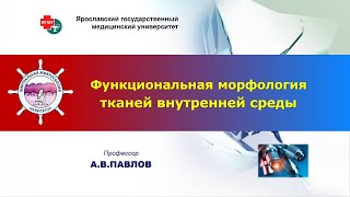 Биология тканей - лекция №6. Функциональная морфология тканей внутренней среды