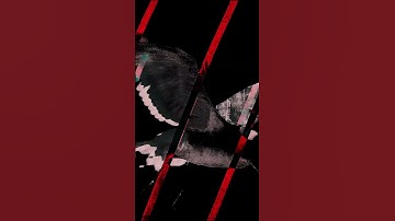 Johnny Marr - The Answer (Official Video) | Shorts