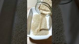 🙀 What seed is this 👋 Oddly Satisfying!