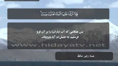 192 / جزء 24 / سوره فصلت (25-46) / تلاوت قرآن با صدای عماد زهير حافظ