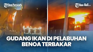 Fish Cold Storage Warehouse at Benoa Port Catches Fire, Blazes Extinguished After Over Two Hours