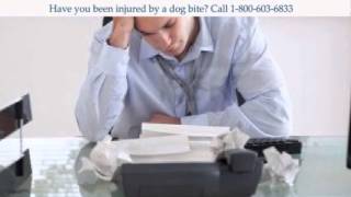 Oklahoma Dog Bite Lawyer (800) 603-6833 Assistance and Advice