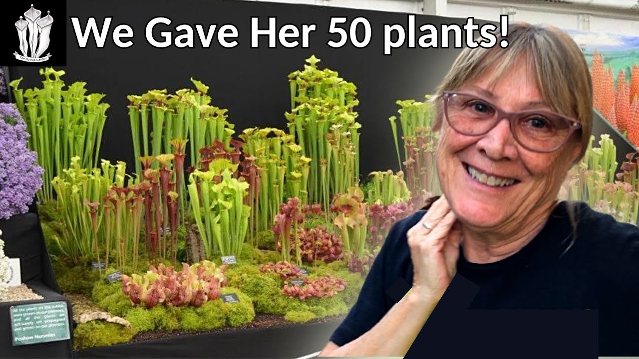 My Landlord's First Carnivorous Plant Collection! - Making a Bog Garden