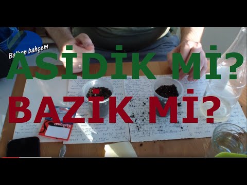 Video: Akasma Ne Tür Toprağı Sever? Asitli Veya Alkali Toprakta Iniş? Toprak Bileşimi. Asitlik Toleransı