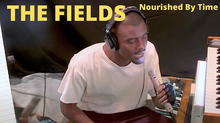 THE FIELDS - nourished by time