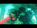 Paris Hilton and Carter Reum Go Deep Sea Diving On Their Honeymoon | Paris Hilton