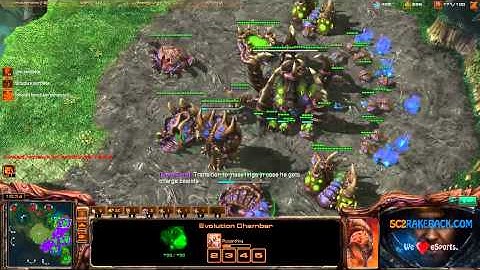 ROOTDestiny (Z) vs. raWr (R) (Part 2/2) - Starcraft 2 Ladder