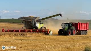 🌾 2x CLAAS LEXION 8800 am LIMIT! | Gerstenernte 2026 mit dem neuen Fendt 832 Vario | Trailer +SOUND