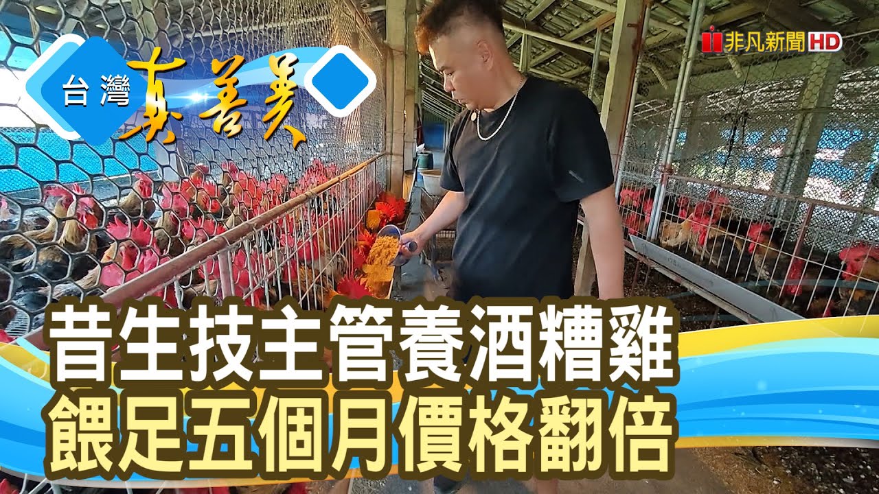 喝酒長大的“高貴酒糟雞”｜古道樂埕有限公司｜【台灣真善美】2026.01.18