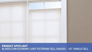 Blinds.com Economy Light Filtering Cellular Shades Product Spotlight
