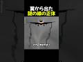 翼から出た謎の線の正体