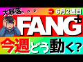 【FANG+】🔰今週(6/8~)のFANG+はどう動く?大暴落の後はどうなる⁉️ #fang #投資信託 #投資