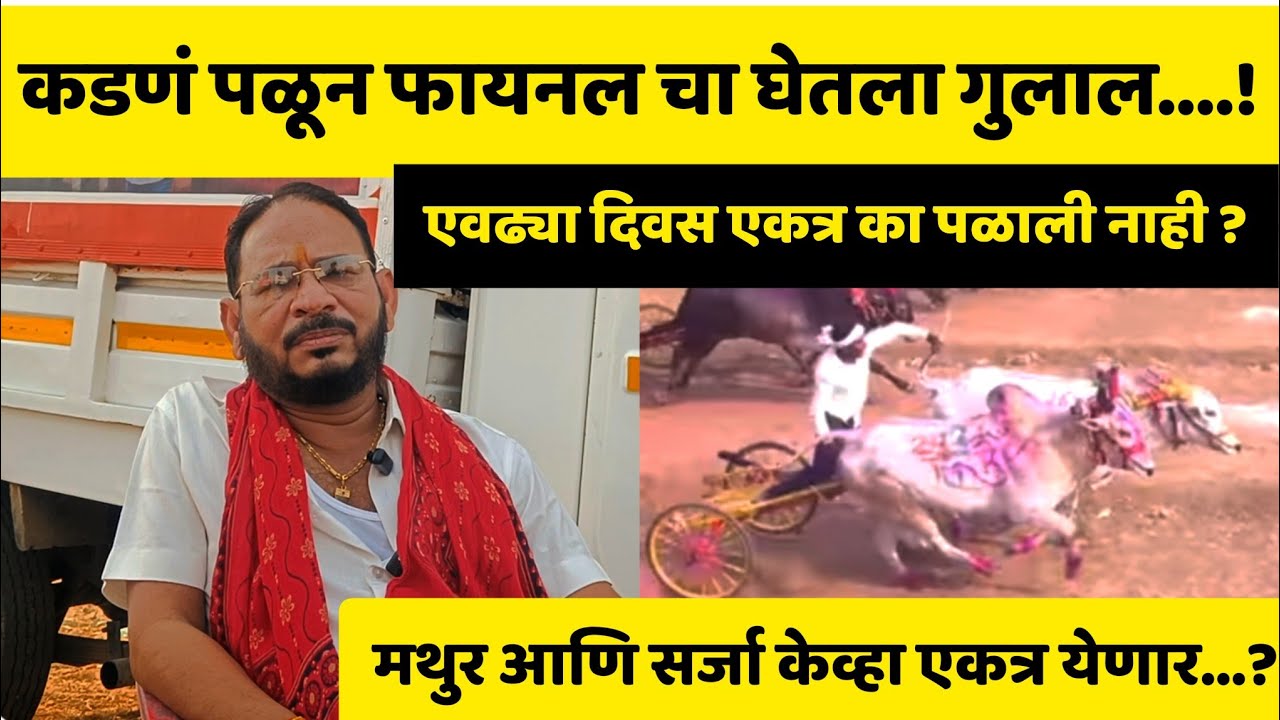 घोटचा सर्जा ची मुलाखत | निमसोड मैदानात बकासुर आणि सर्जा ला लागले जबरदस्त स्पीड 