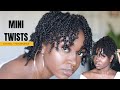Mini Twists + Maintenance | Natural Hair
