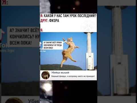 😂😂 #shorts #ютуб #прикол #мем #мемы #юмор #funny #смех