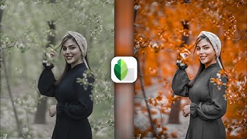 snapseed 🔥 orange & dark brown tone realistic effect editing | background colour change editing