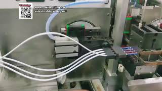 Fully Automatic Double Head Wire Soldering Tinning Machine for Jacketed Cables