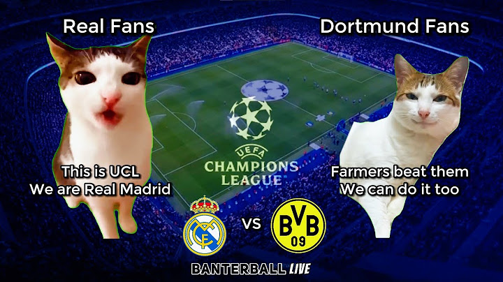 Real Madrid 5-2 Borussia Dortmund | Cat Memes highlights | Champions League 2024/25