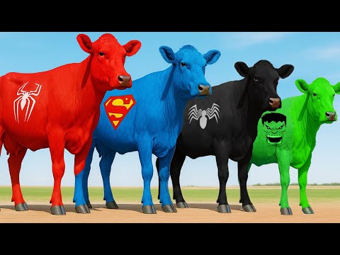 الرجل العنكبوت انقاذ باتمان Spider Man Rescue Batman Vs Iron Man Vs Venom Funny Game GTA 5 Superhero