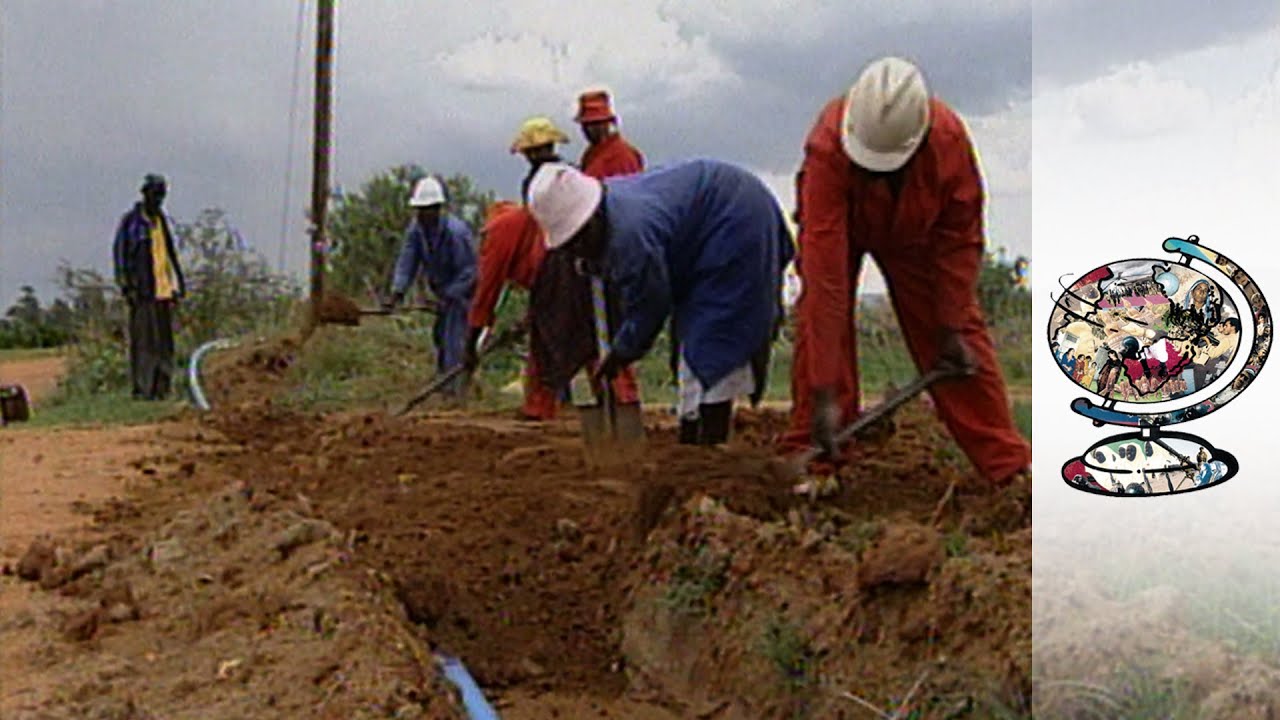 Film backdrop image for Black Farmers Are Struggling in Post-Apartheid South Africa (2016)