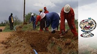 Black Farmers Are Struggling in Post-Apartheid South Africa (2006)