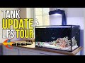 -LFS Tour &amp; Tank Update -Nano Reef Tank - Innovative Marine 20 Gallon Reef Tank - Saltwater Aquarium