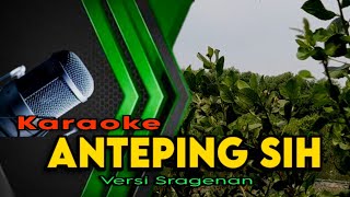 ANTEPING SIH Karaoke Campursari Tanpa Vokal Laras Pelog 6 - Versi Cokek Sragenan - Full Lirik