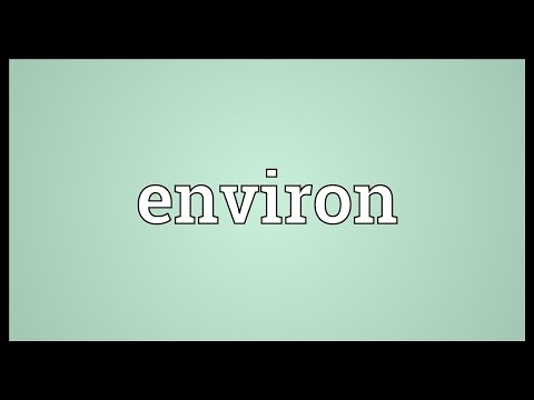Header of environ
