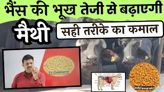 Fenugreek will rapidly increase your buffalo's appetite 👉🏻 Learn the right way to feed methi to b... screenshot 4