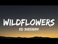 Ed Sheeran Wildflowers Bonus Track Lyrics Ed Sheeran Wildflowers Bonus Track Lyrics